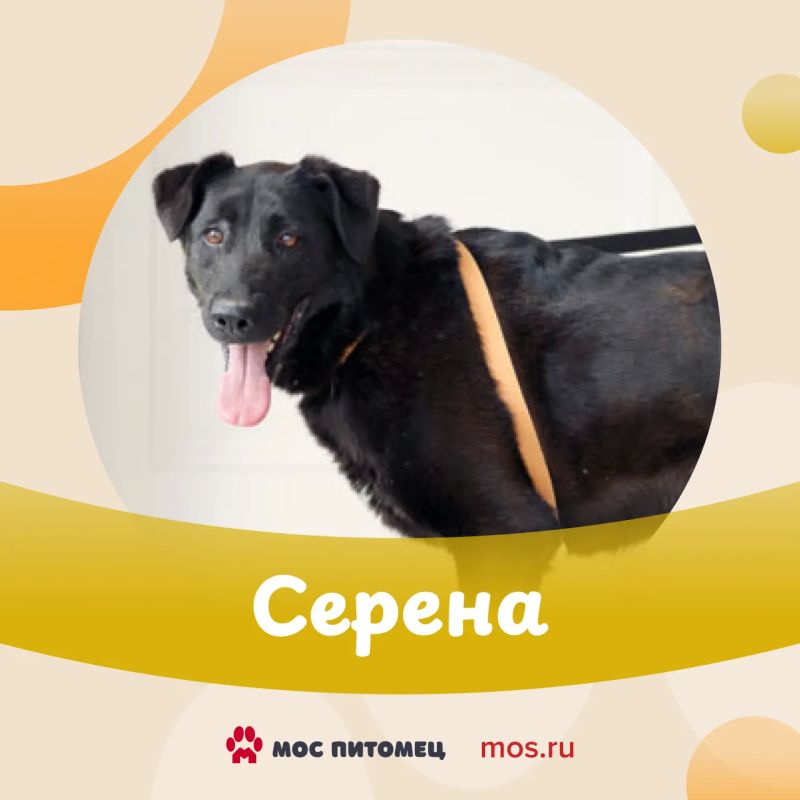 Этот #ПушистыйПонедельник выпал на День ветеринарного работника Этот #ПушистыйПонедельник выпал на День ветеринарного работника