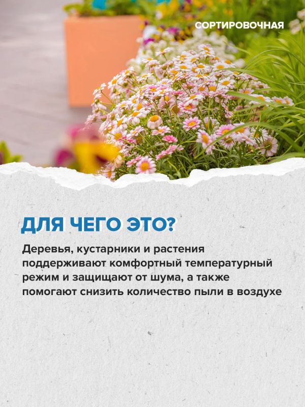 В Москве начнут создавать более комфортные дворы с местами для отдыха и прогулок В Москве начнут создавать более комфортные дворы с местами для отдыха и прогулок