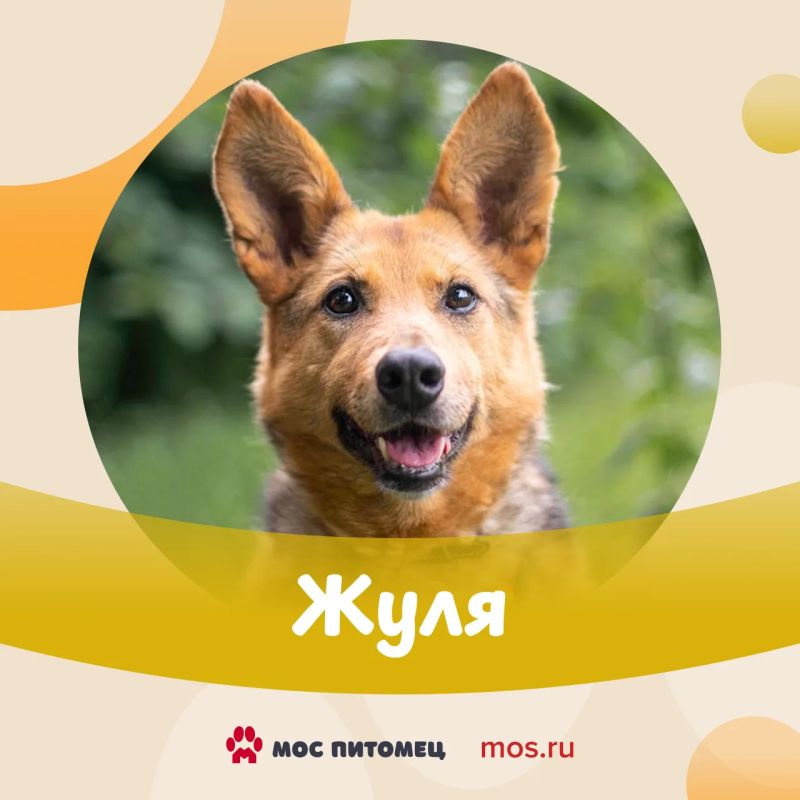 Этот #ПушистыйПонедельник выпал на День ветеринарного работника Этот #ПушистыйПонедельник выпал на День ветеринарного работника