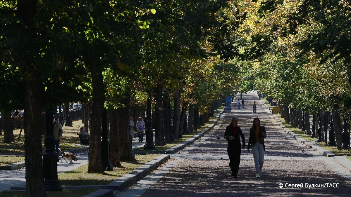 Бабье лето в Московском регионе уже наступило осле похолодания в конце августа, рассказали ТАСС в Гидрометцентре