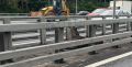 Госавтоинспекция Москвы предупреждает о частых выходах лосей на дороги