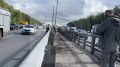 Лось со сломанной ногой застрял в отбойнике на Киевском шоссе в Москве