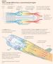 Financial Time �����, ����� ������ �� ��� � 2023 ���� �������� ����� � ���������� �������������� ����������
