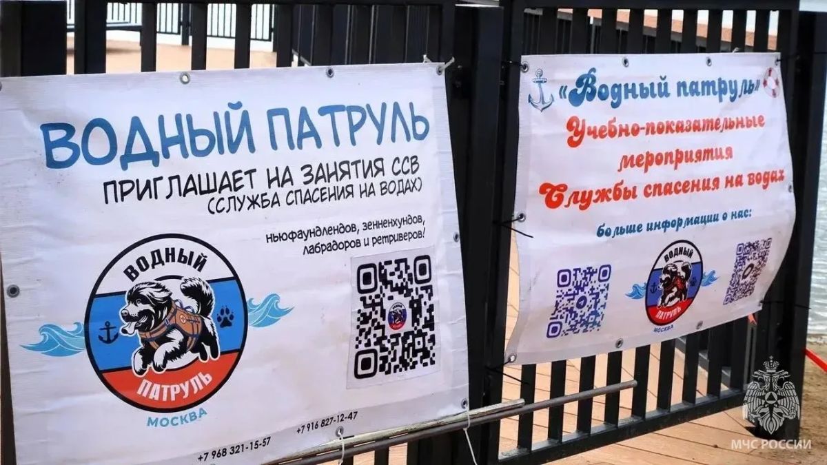 День безопасности для детей прошёл в Южном Бутово