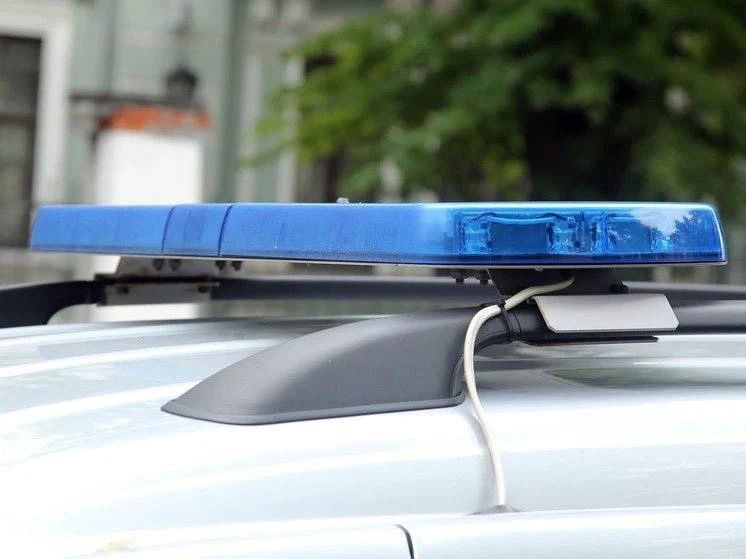 Экс-супруг напал на пенсионерку, пока внук выгуливал собаку
