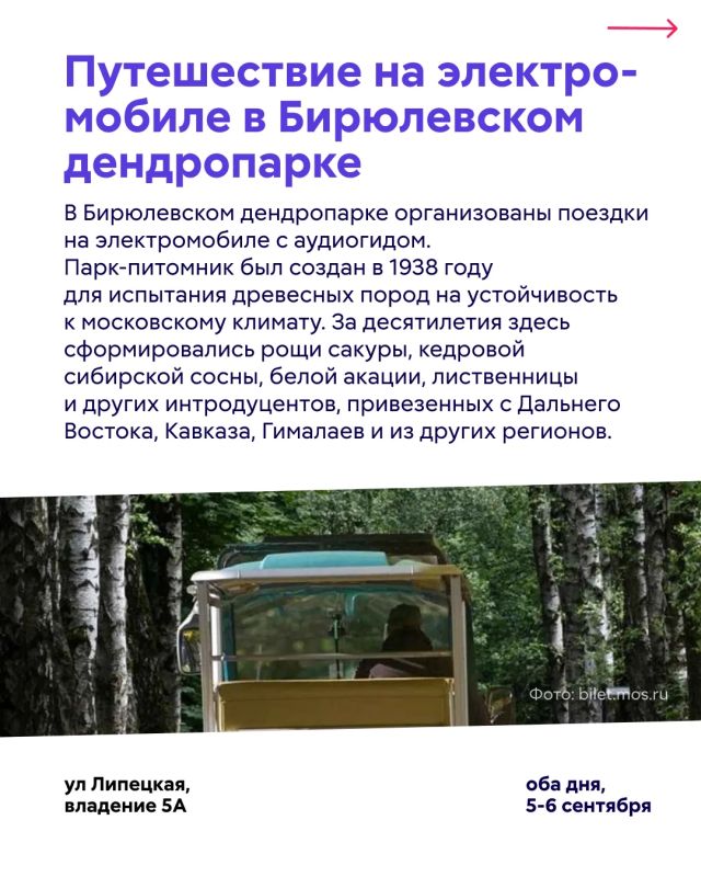 Куда сходить в столице в эти выходные? Куда сходить в столице в эти выходные?