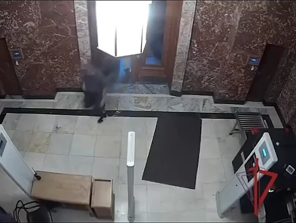 Нет пропуска — нет входа: московские росгвардейцы задержали нарушителя, пытавшегося без досмотра пройти в библиотеку