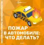� ����� ���� ���� ������������?