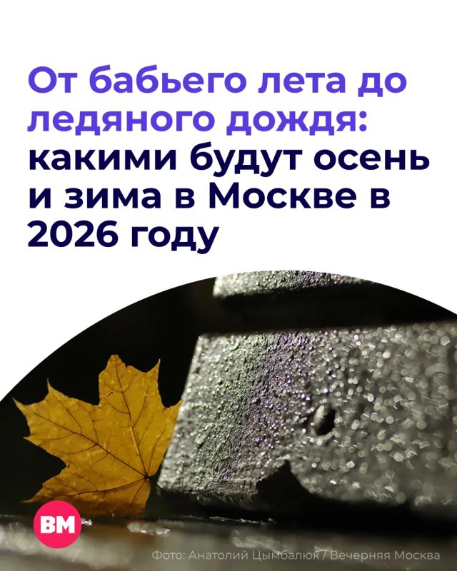 Теплые дни заканчиваются, и осень постепенно приходит в Москву