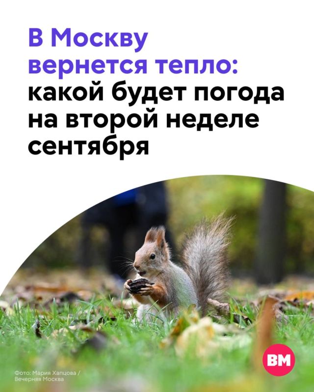После прохладного начала недели в Москву внезапно придет настоящее тепло