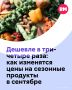 С начала сентября в московских магазинах заметно дешевеют сезонные овощи