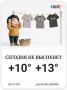 В Москве ожидается до +13° и слабый дождь