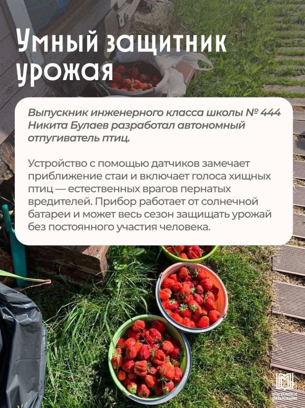 Кто сказал, что на даче всё нужно делать своими руками? Кто сказал, что на даче всё нужно делать своими руками?