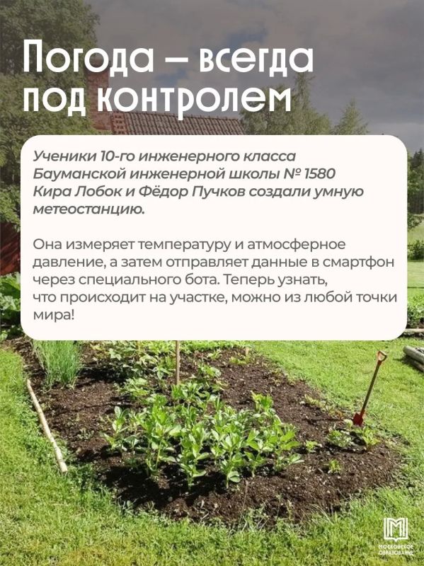 Кто сказал, что на даче всё нужно делать своими руками? Кто сказал, что на даче всё нужно делать своими руками?