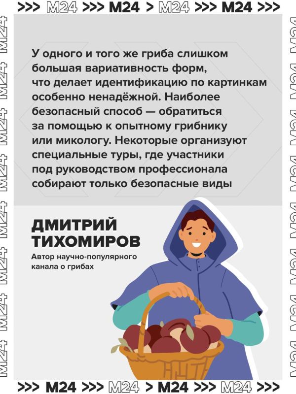 Это лето в Московском регионе выдалось одним из самых неудачных для грибников, но в начале сентября природа решила наверстать упущенное — и грибной сезон наконец ожил Это лето в Московском регионе выдалось одним из самых неудачных для грибников, но в начале сентября природа решила наверстать упущенное — и грибной сезон наконец ожил