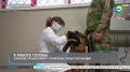 На страже безопасности: минно-розыскные собаки ОМОН «Авангард» допущены к службе
