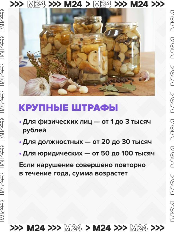 Это лето в Московском регионе выдалось одним из самых неудачных для грибников, но в начале сентября природа решила наверстать упущенное — и грибной сезон наконец ожил Это лето в Московском регионе выдалось одним из самых неудачных для грибников, но в начале сентября природа решила наверстать упущенное — и грибной сезон наконец ожил