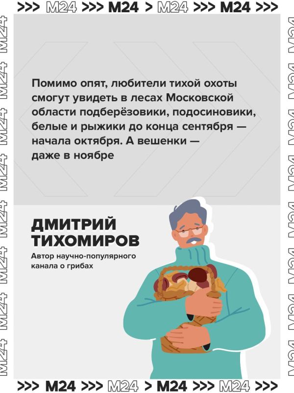 Это лето в Московском регионе выдалось одним из самых неудачных для грибников, но в начале сентября природа решила наверстать упущенное — и грибной сезон наконец ожил Это лето в Московском регионе выдалось одним из самых неудачных для грибников, но в начале сентября природа решила наверстать упущенное — и грибной сезон наконец ожил