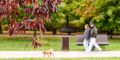 � ��������� ��� � ������ ����������
