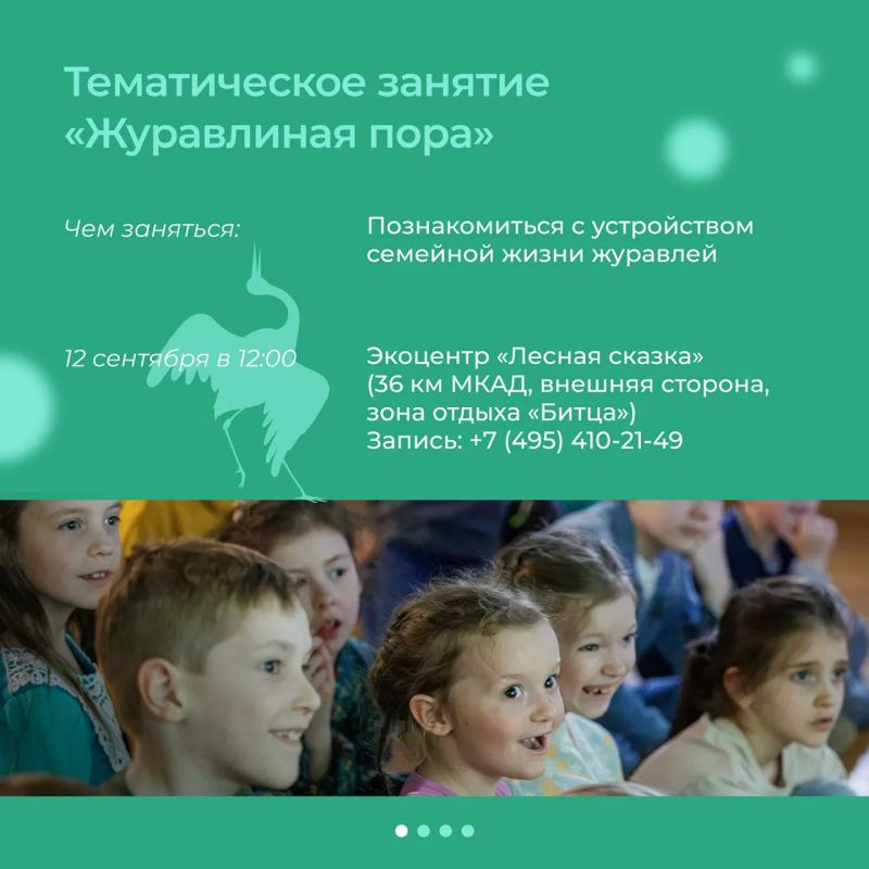 Журавлиные истории этой осени Журавлиные истории этой осени