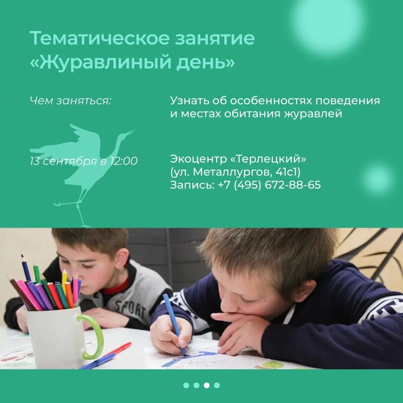 Журавлиные истории этой осени Журавлиные истории этой осени