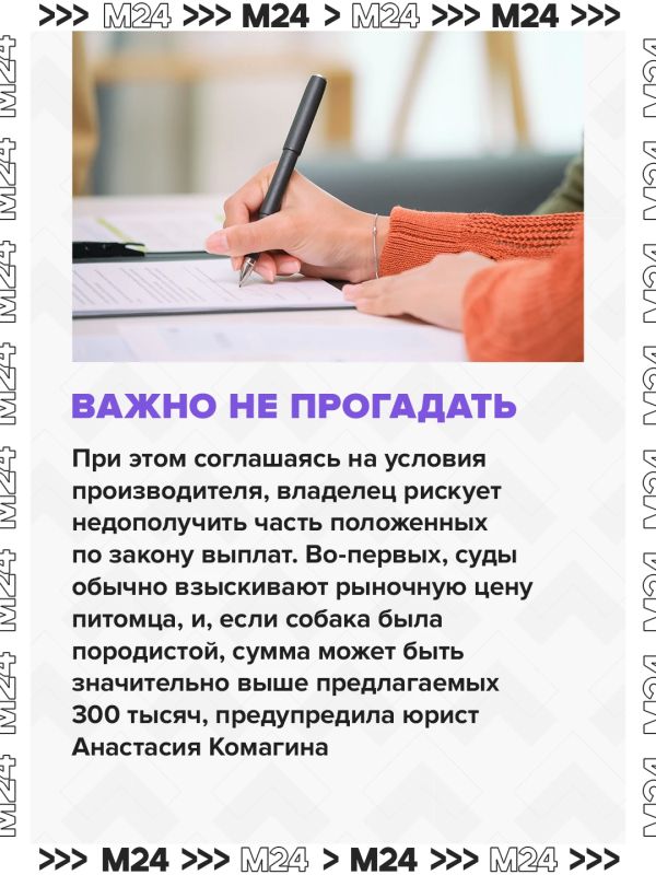 Владельцы собак, которые обвинили «Ветбиохим» в гибели питомцев после вакцины «Мультикан-8», получили предложения о денежной компенсации Владельцы собак, которые обвинили «Ветбиохим» в гибели питомцев после вакцины «Мультикан-8», получили предложения о денежной компенсации