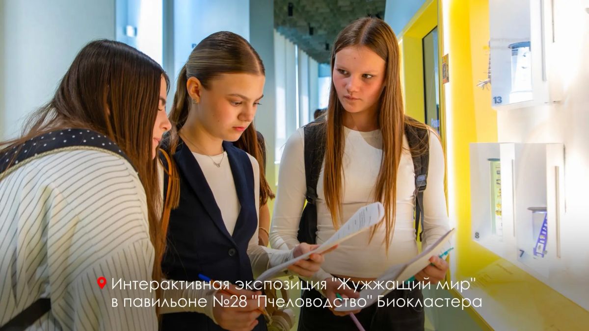 Сергей Собянин: Больше 500 тысяч школьников за 9 лет: проект "Учебный день в музее" стал частью городской образовательной системы Сергей Собянин: Больше 500 тысяч школьников за 9 лет: проект "Учебный день в музее" стал частью городской образовательной системы