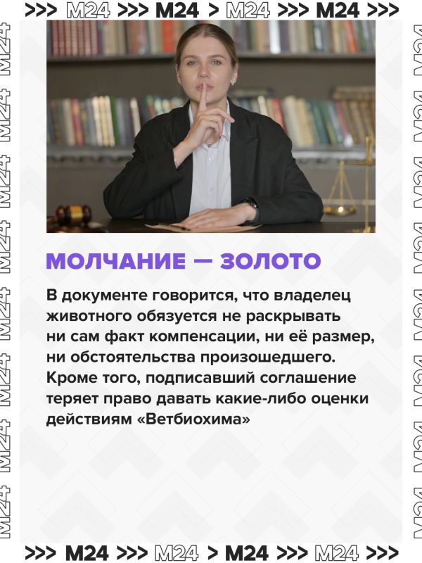 Владельцы собак, которые обвинили «Ветбиохим» в гибели питомцев после вакцины «Мультикан-8», получили предложения о денежной компенсации Владельцы собак, которые обвинили «Ветбиохим» в гибели питомцев после вакцины «Мультикан-8», получили предложения о денежной компенсации