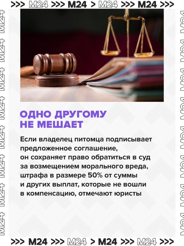 Владельцы собак, которые обвинили «Ветбиохим» в гибели питомцев после вакцины «Мультикан-8», получили предложения о денежной компенсации Владельцы собак, которые обвинили «Ветбиохим» в гибели питомцев после вакцины «Мультикан-8», получили предложения о денежной компенсации