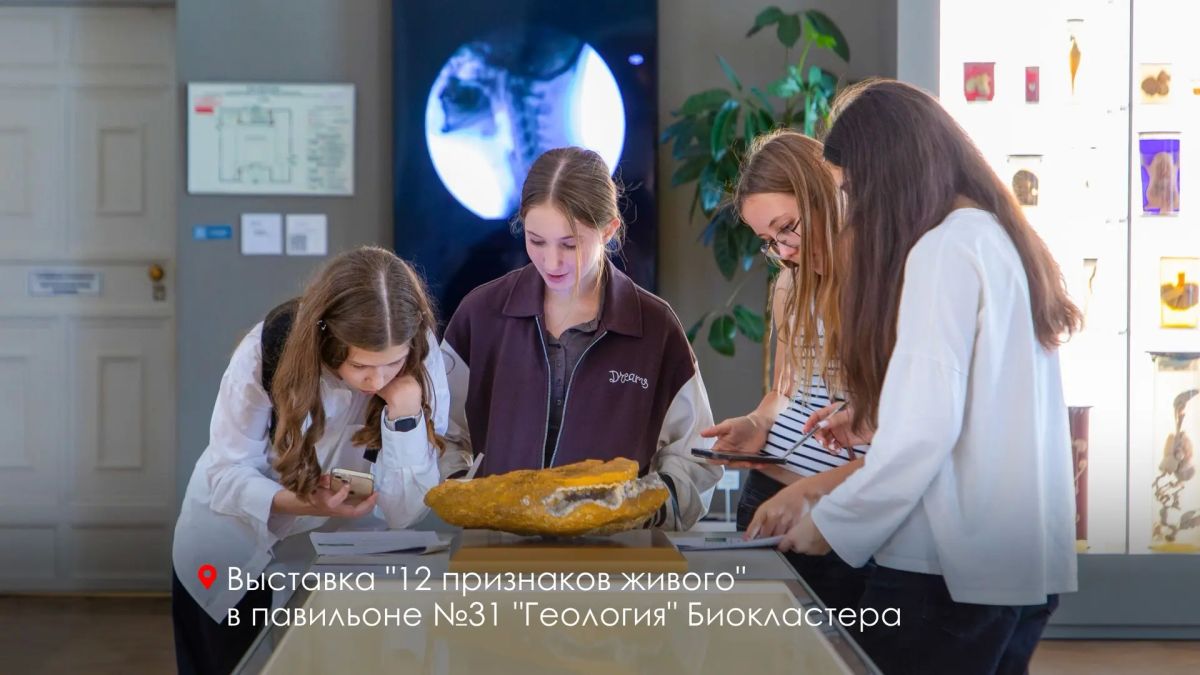 Сергей Собянин: Больше 500 тысяч школьников за 9 лет: проект "Учебный день в музее" стал частью городской образовательной системы Сергей Собянин: Больше 500 тысяч школьников за 9 лет: проект "Учебный день в музее" стал частью городской образовательной системы