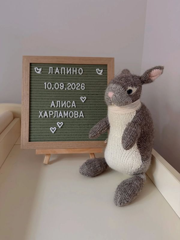 У Гарика Харламова и Екатерины Ковальчук родилась дочка Алиса У Гарика Харламова и Екатерины Ковальчук родилась дочка Алиса