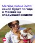 Мы уже успели погрустить из-за пришедших в столицу холодов