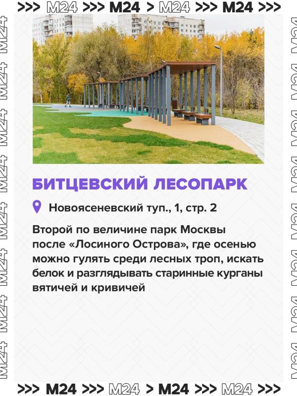 За последний год в городских парках побывал почти каждый москвич, показал опрос ВЦИОМ За последний год в городских парках побывал почти каждый москвич, показал опрос ВЦИОМ