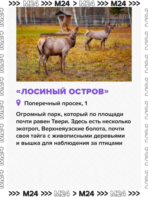За последний год в городских парках побывал почти каждый москвич, показал опрос ВЦИОМ За последний год в городских парках побывал почти каждый москвич, показал опрос ВЦИОМ