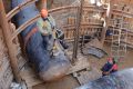 Более 3 км нового газопровода проложили в Академическом районе