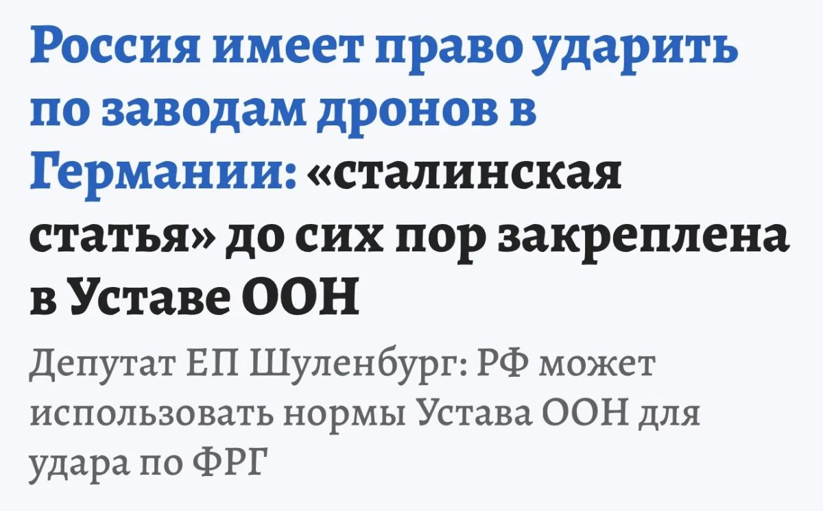 Дмитрий Стешин: Германия продолжает лезть головой вперед в берлогу с медведем
