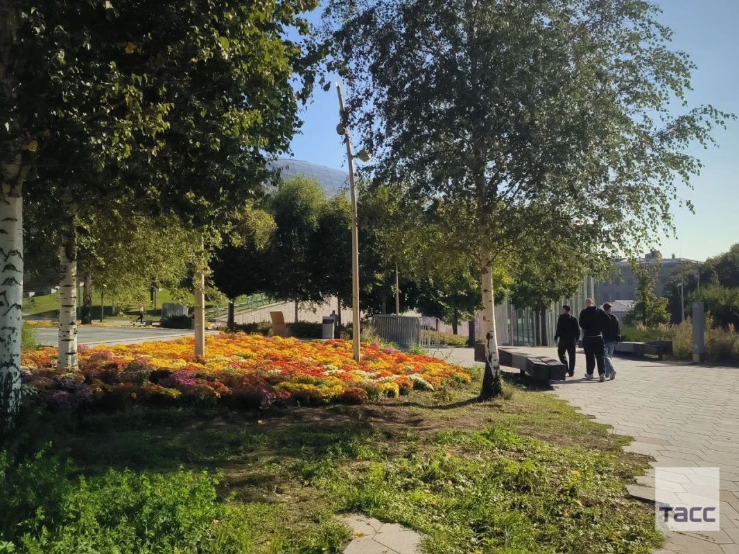 В парке "Зарядье" высадили осенние цветы В парке "Зарядье" высадили осенние цветы