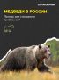 В Минприроды опровергли сообщения о рекордном числе нападений медведей
