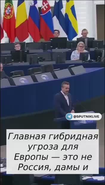 «Главная угроза – это вы, а не русские»: в Европарламенте послали Каллас «куда подальше»