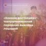 Началось необычное шоу: театрализованная породная выводка лошадей