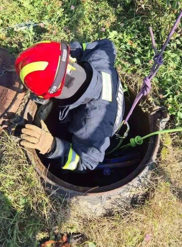 На Минской улице бедняга мяукал на дне вентиляционной шахты, утопая в глиняной жиже, но его, к счастью, спасли спасатели На Минской улице бедняга мяукал на дне вентиляционной шахты, утопая в глиняной жиже, но его, к счастью, спасли спасатели