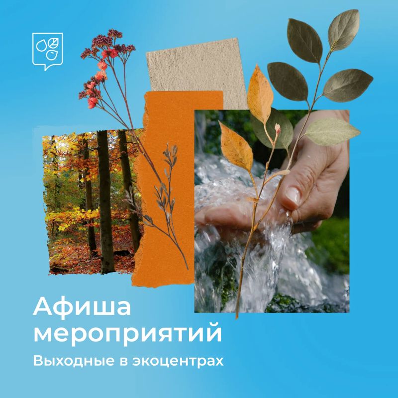 От лекций про воду до песен про лося: выходные в экоцентрах