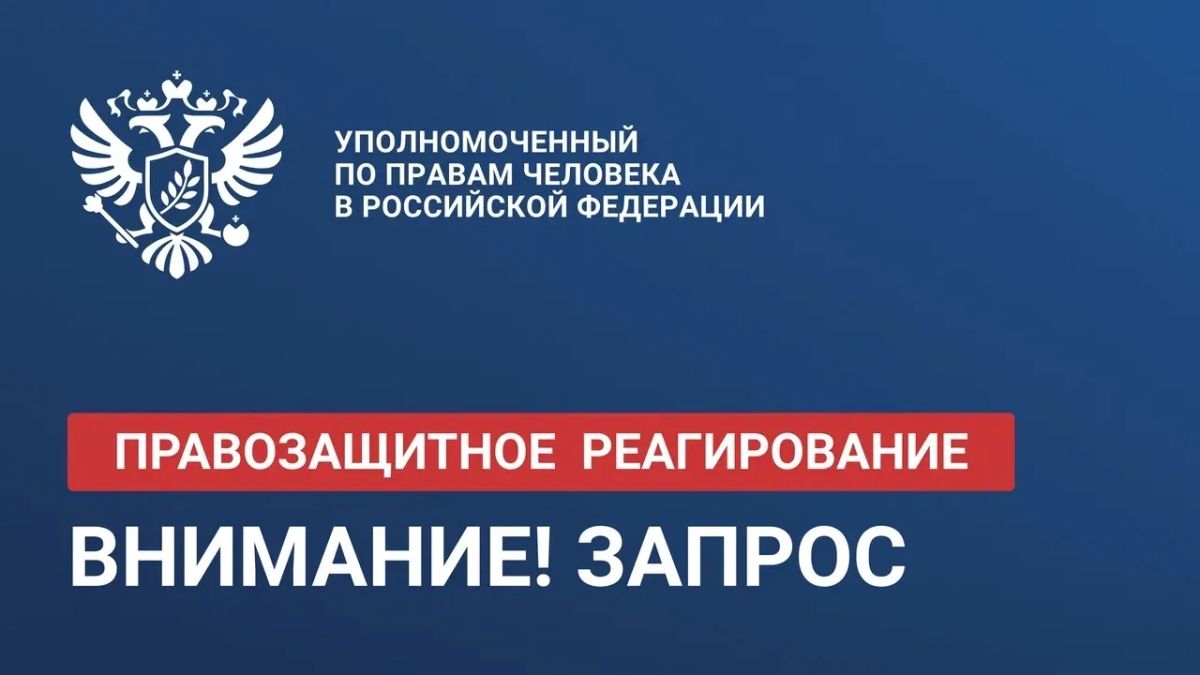 Яна Лантратова: Взяли на контроль ситуацию с осуждённым продавцом техники с «Горбушки»