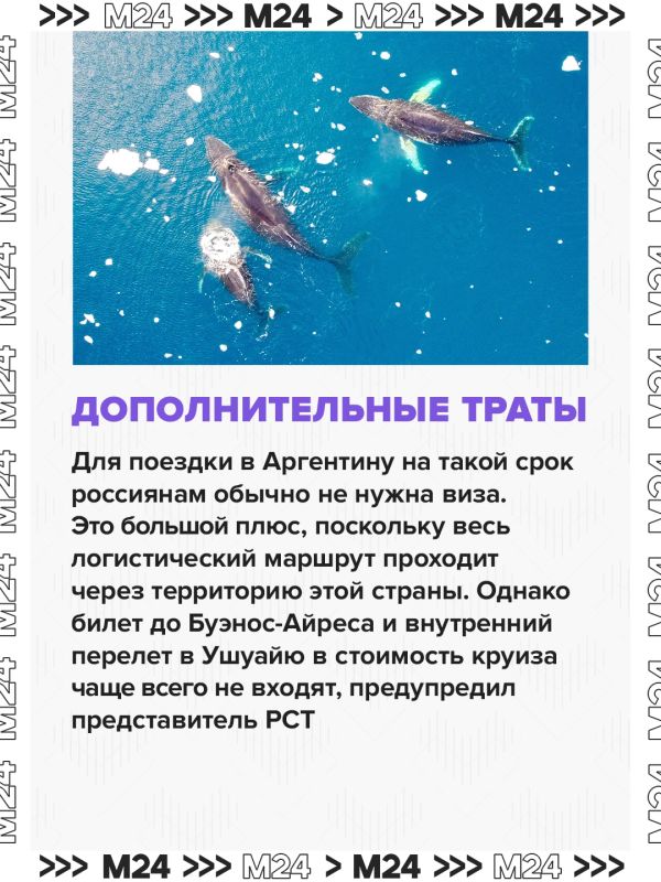 Россияне захотели увидеть Антарктиду: спрос на это направление вырос на 30%, сообщили в АТОР Россияне захотели увидеть Антарктиду: спрос на это направление вырос на 30%, сообщили в АТОР