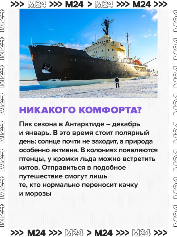 Россияне захотели увидеть Антарктиду: спрос на это направление вырос на 30%, сообщили в АТОР Россияне захотели увидеть Антарктиду: спрос на это направление вырос на 30%, сообщили в АТОР