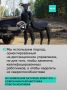 ������� � ������� ����� � ���������� ������ ���: � ��� ����������� ������ ������-���������