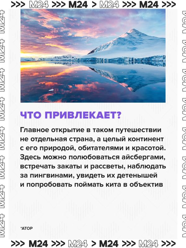 Россияне захотели увидеть Антарктиду: спрос на это направление вырос на 30%, сообщили в АТОР Россияне захотели увидеть Антарктиду: спрос на это направление вырос на 30%, сообщили в АТОР