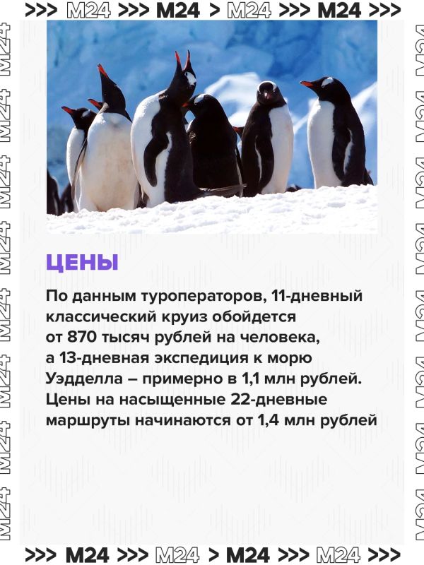 Россияне захотели увидеть Антарктиду: спрос на это направление вырос на 30%, сообщили в АТОР Россияне захотели увидеть Антарктиду: спрос на это направление вырос на 30%, сообщили в АТОР