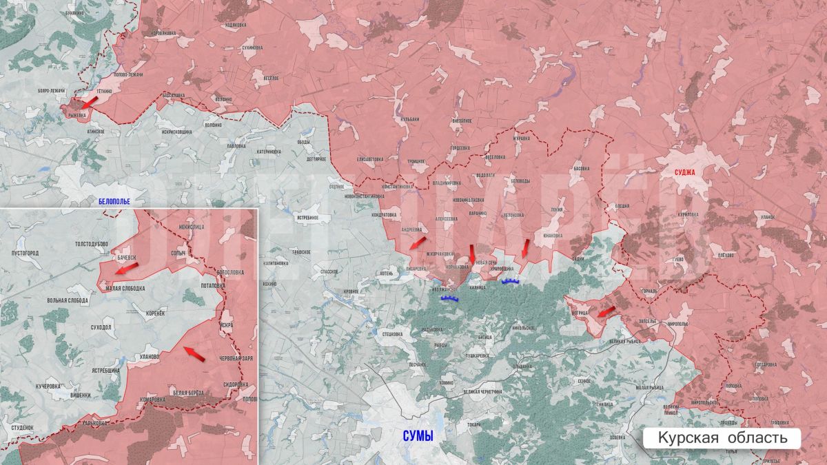 Олег Царёв: Фронтовая сводка. Фронтовая сводка 20 сентября Олег Царёв: Фронтовая сводка. Фронтовая сводка 20 сентября