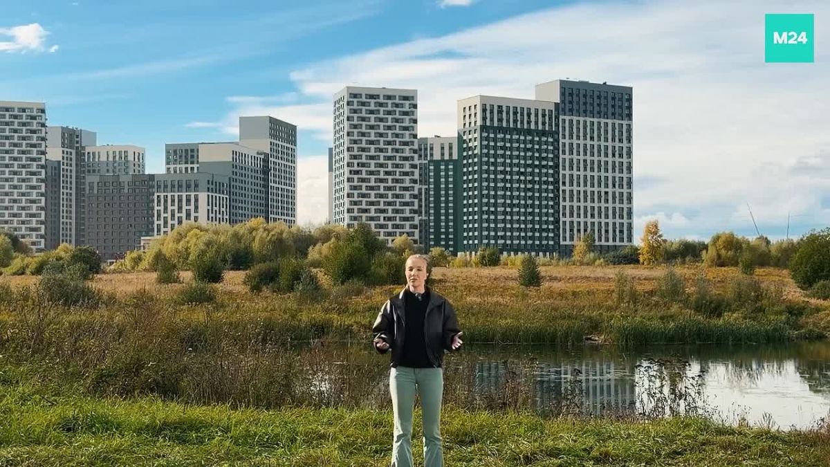 Пяти лет хватит, чтобы спроектировать и построить участок оранжевой ветки до Мытищ, рассказала руководитель направления мастерской развития скоростного внеуличного транспорта Института Генплана Москвы Юлия Бочкарёва